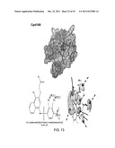 STAT3 INHIBITORS diagram and image