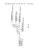 STAT3 INHIBITORS diagram and image