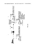 STAT3 INHIBITORS diagram and image