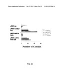 STAT3 INHIBITORS diagram and image