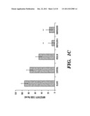 NARINGENIN COMPLEXES AND METHODS OF USE THEREOF diagram and image