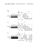 CANCER RELATED GENE, LGN/GPSM2 diagram and image