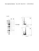 CANCER RELATED GENE, LGN/GPSM2 diagram and image