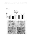 METHODS AND SUBSTANCES FOR STIMULATING MUSCLE REGENERATION diagram and image