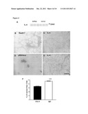 METHODS AND SUBSTANCES FOR STIMULATING MUSCLE REGENERATION diagram and image