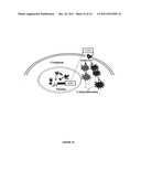 SUPPRESSOR OF AP-1 diagram and image