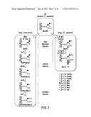 HER2 ANTIBODY COMPOSITIONS diagram and image