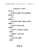 HER2 ANTIBODY COMPOSITIONS diagram and image