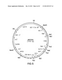 HER2 ANTIBODY COMPOSITIONS diagram and image