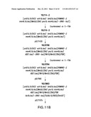 HER2 ANTIBODY COMPOSITIONS diagram and image