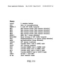 HER2 ANTIBODY COMPOSITIONS diagram and image