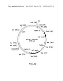 HER2 ANTIBODY COMPOSITIONS diagram and image