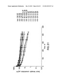 HER2 ANTIBODY COMPOSITIONS diagram and image