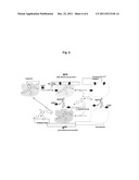 PROCESS FOR PRODUCING COELENTERAMIDE OR AN ANALOG THEREOF diagram and image