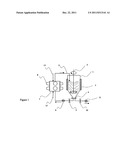 Processing of Biomass diagram and image