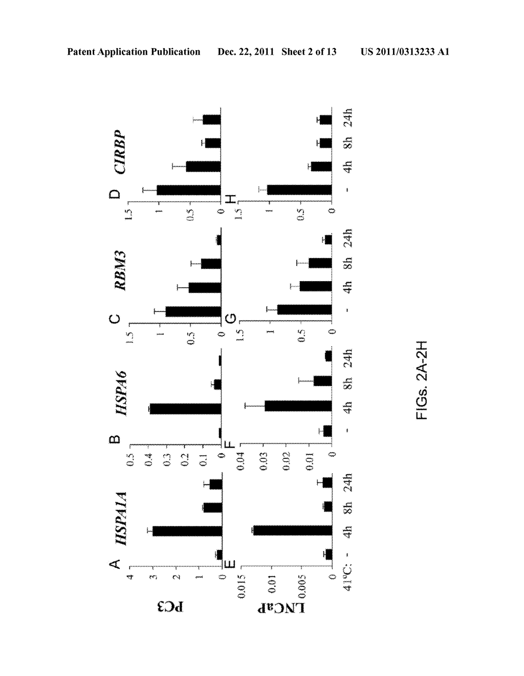 DOWN-REGULATION OF COLD SHOCK PROTEINS FOR CANCER TREATMENT - diagram, schematic, and image 03