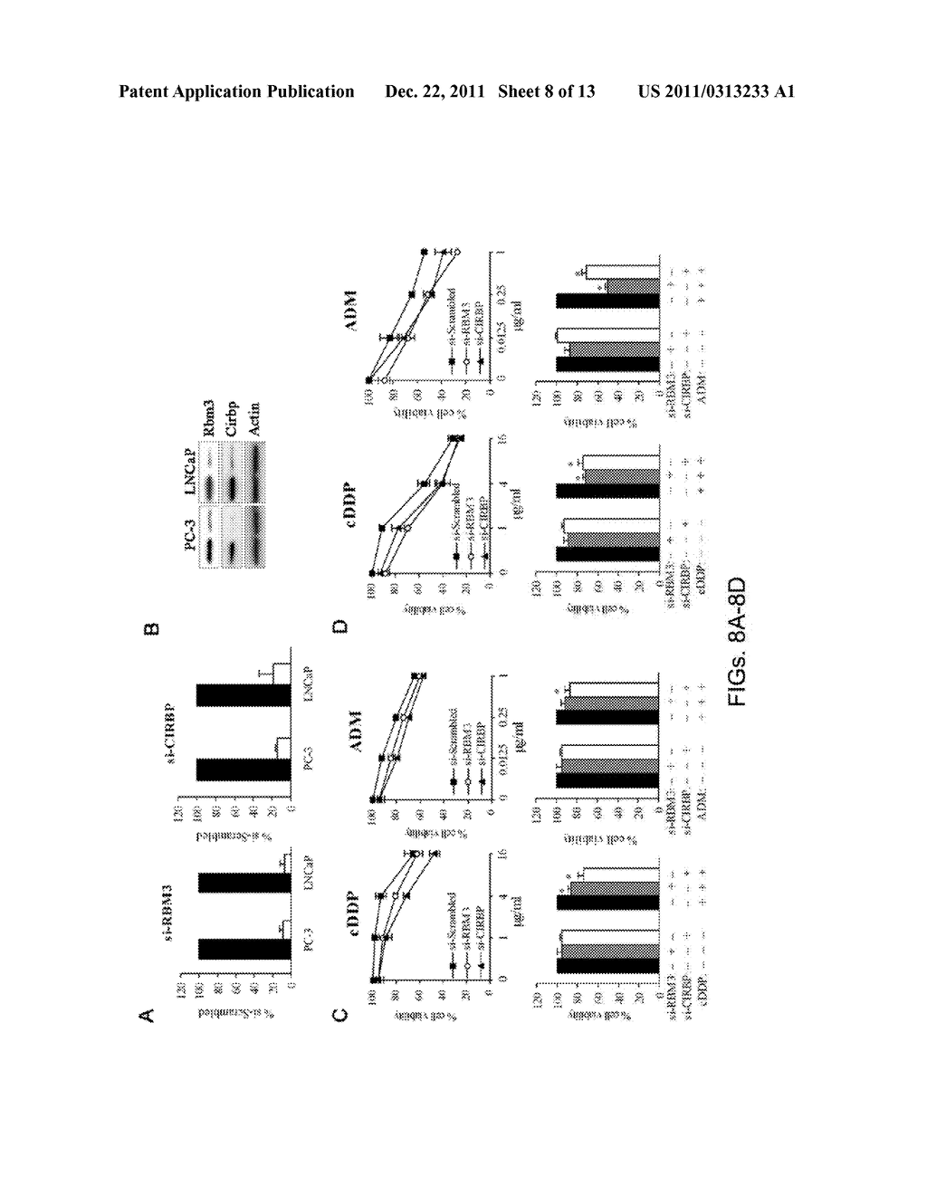 DOWN-REGULATION OF COLD SHOCK PROTEINS FOR CANCER TREATMENT - diagram, schematic, and image 09