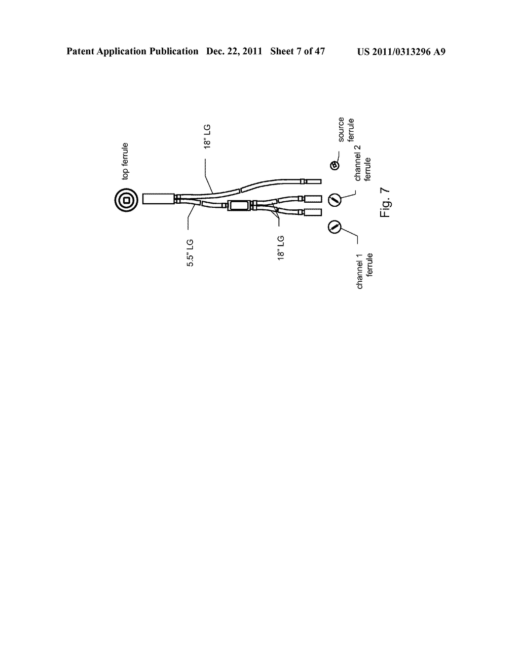 Method and Apparatus for Determination of a Measure of a Glycation     End-Product or Disease State Using Tissue Fluorescence - diagram, schematic, and image 08