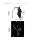 NON-INVASIVE DEVICE FOR DIAGNOSING GASTROESOPHAGEAL REFLUX diagram and image