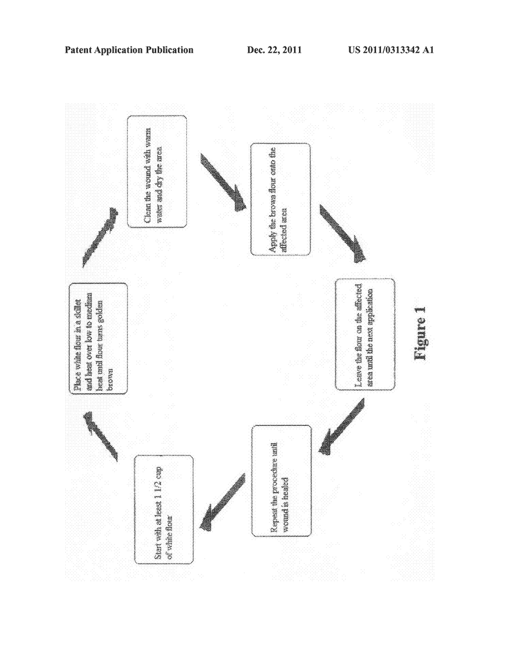 Method of Treating Open Wounds and Bed Sores - diagram, schematic, and image 02