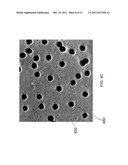 PHOTODYNAMIC BONE STABILIZATION AND DRUG DELIVERY SYSTEMS diagram and image