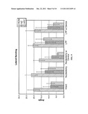 Dynamic Spine Stabilizer diagram and image