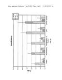 Dynamic Spine Stabilizer diagram and image