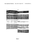 METHODS FOR GENERATING CARTILAGE TISSUE diagram and image