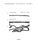 METHODS FOR GENERATING CARTILAGE TISSUE diagram and image