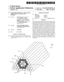 ENGINEERED BIOLOGICAL NERVE GRAFT, FABRICATION AND APPLICATION THEREOF diagram and image