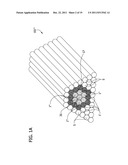 ENGINEERED BIOLOGICAL NERVE GRAFT, FABRICATION AND APPLICATION THEREOF diagram and image