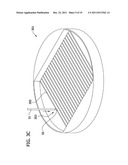 ENGINEERED BIOLOGICAL NERVE GRAFT, FABRICATION AND APPLICATION THEREOF diagram and image