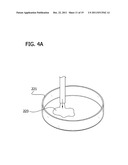 ENGINEERED BIOLOGICAL NERVE GRAFT, FABRICATION AND APPLICATION THEREOF diagram and image