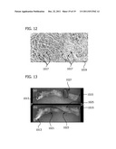 ENGINEERED BIOLOGICAL NERVE GRAFT, FABRICATION AND APPLICATION THEREOF diagram and image