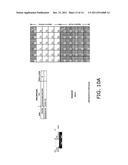 INTERFACE FOR EXTENDING FUNCTIONALITY OF MEMORY CARDS diagram and image