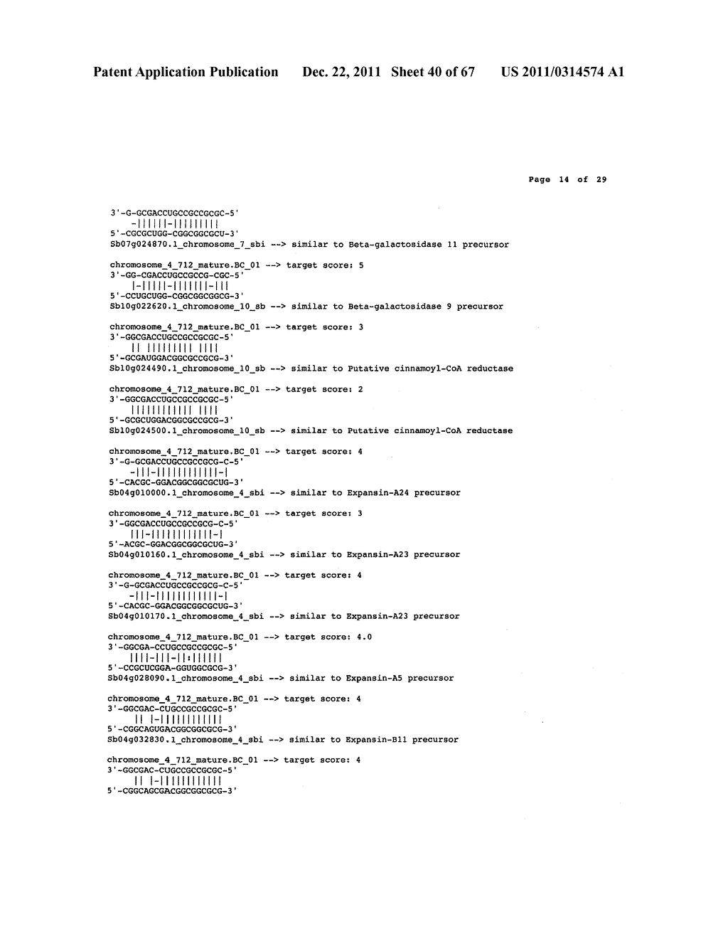 Compositions and Methods for the Regulation of Carbohydrate Metabolism and     Flowering in Plants - diagram, schematic, and image 41