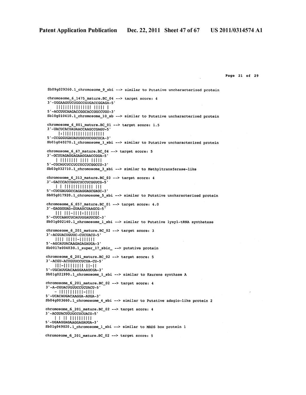 Compositions and Methods for the Regulation of Carbohydrate Metabolism and     Flowering in Plants - diagram, schematic, and image 48