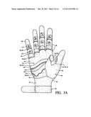 Work Glove diagram and image