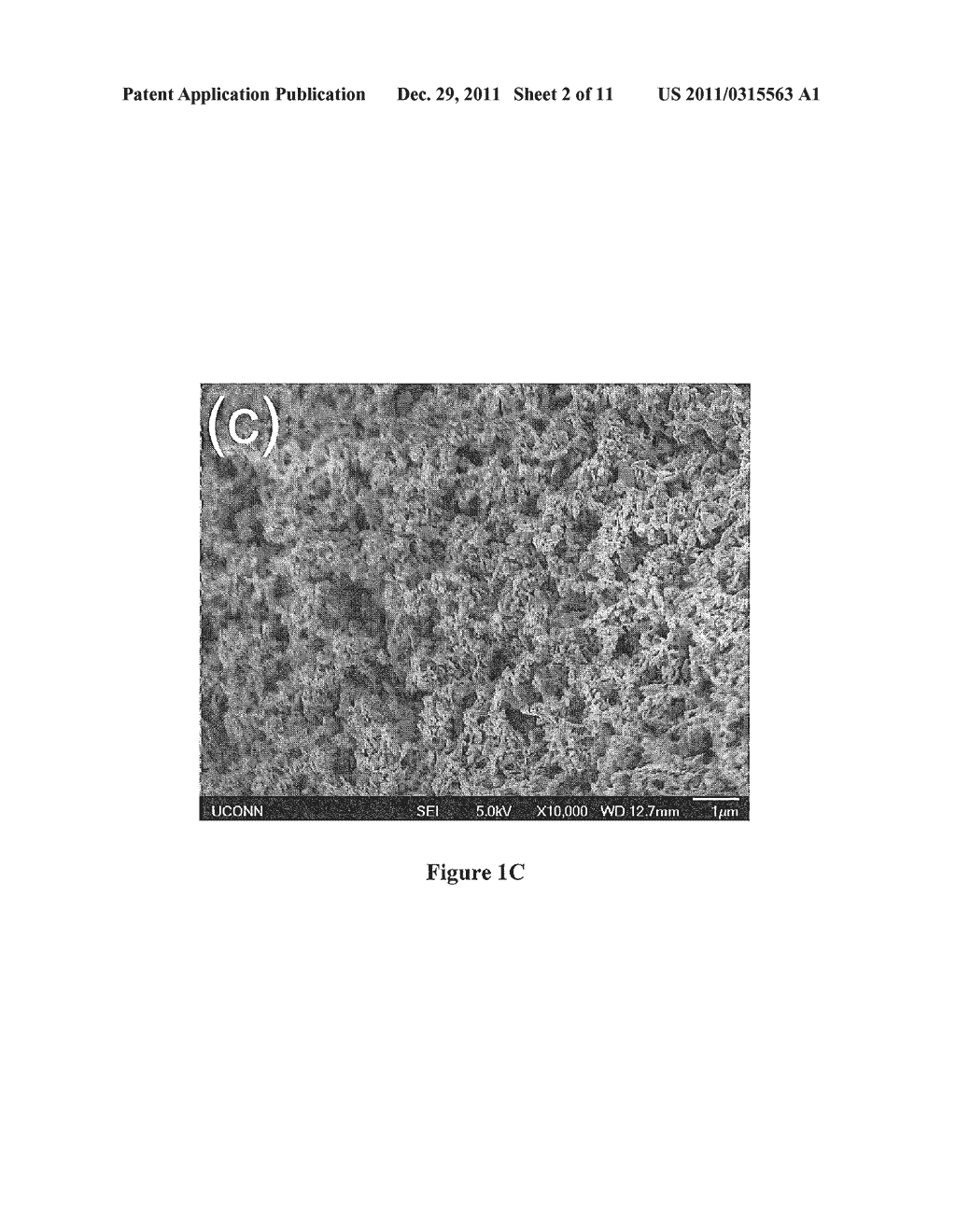 SENSORS FOR ANALYTE DETECTION AND METHODS OF MANUFACTURE THEREOF - diagram, schematic, and image 03