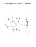 Soluble Anion Exchangers From Hyperbranched Macromolecules diagram and image