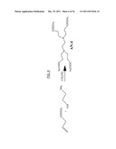 Soluble Anion Exchangers From Hyperbranched Macromolecules diagram and image