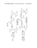 Soluble Anion Exchangers From Hyperbranched Macromolecules diagram and image