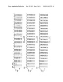 SUBMERGED ENTRY NOZZLE diagram and image