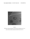 NANOPARTICLE CATALYSTS AND METHOD OF USING THE SAME FOR BIOMASS     GASIFICATION diagram and image