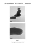 NANOPARTICLE CATALYSTS AND METHOD OF USING THE SAME FOR BIOMASS     GASIFICATION diagram and image