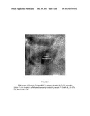 NANOPARTICLE CATALYSTS AND METHOD OF USING THE SAME FOR BIOMASS     GASIFICATION diagram and image