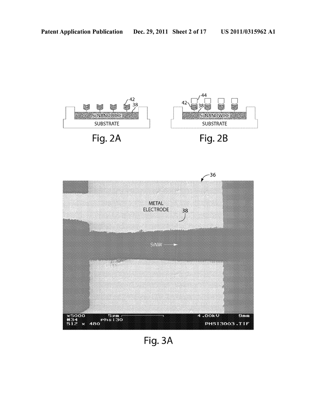 NANOSENSORS - diagram, schematic, and image 03