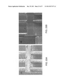 APPARATUS AND METHOD FOR IN SITU TESTING OF MICROSCALE AND NANOSCALE     SAMPLES diagram and image