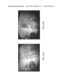 APPARATUS AND METHOD FOR IN SITU TESTING OF MICROSCALE AND NANOSCALE     SAMPLES diagram and image