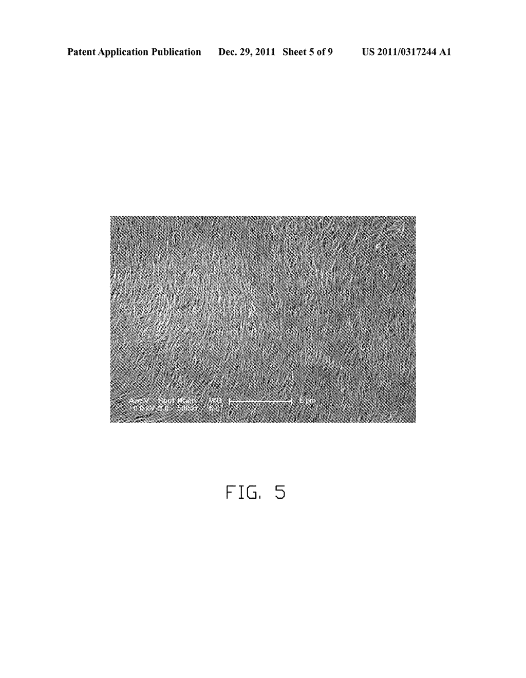 CHROMATIC ELEMENT AND CHROMATIC DISPLAY DEVICE USING THE SAME - diagram, schematic, and image 06